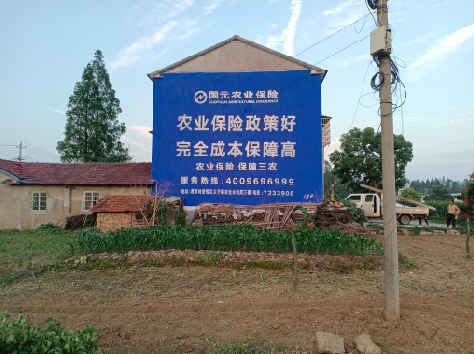 盐边墙体广告的优劣势你知道吗？