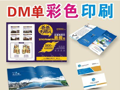 盐边单页印刷，色彩搭配简单。